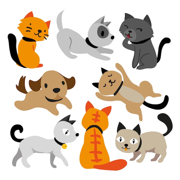 Cat and dog character design