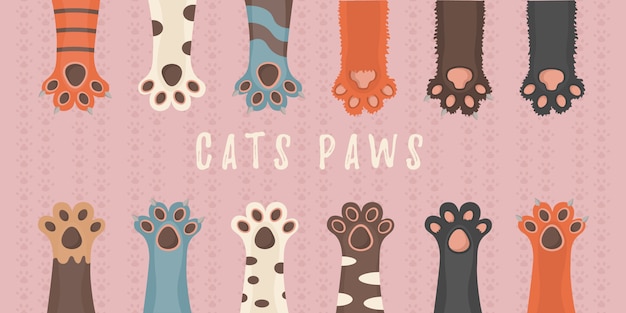 Vector cat and dog paws, background, prints, cartoon, cute animals legs wallpaper. brochure, flyer, postcard. paws up animals isolated on white background. illustration in flat design.