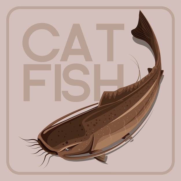 Vector cat fish cartoon vector for illustration on gray background.