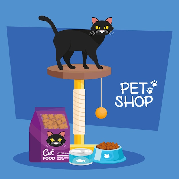 Vector cat in gym and pet shop