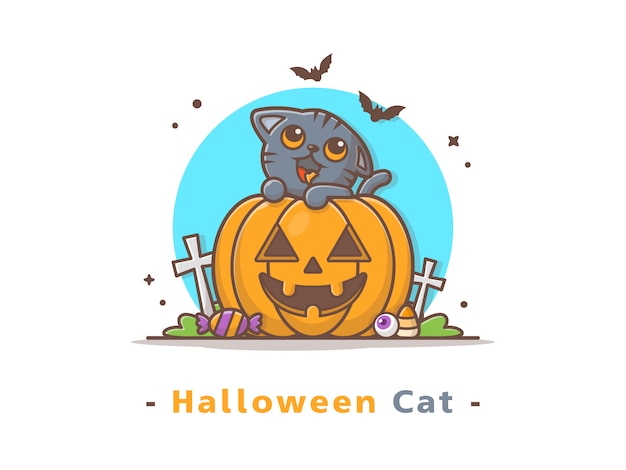 Vector cat on halloween pumpkin