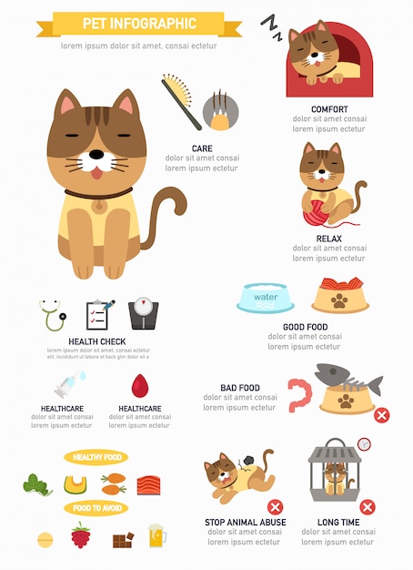 Vector cat infographic, informative poster ready to print
