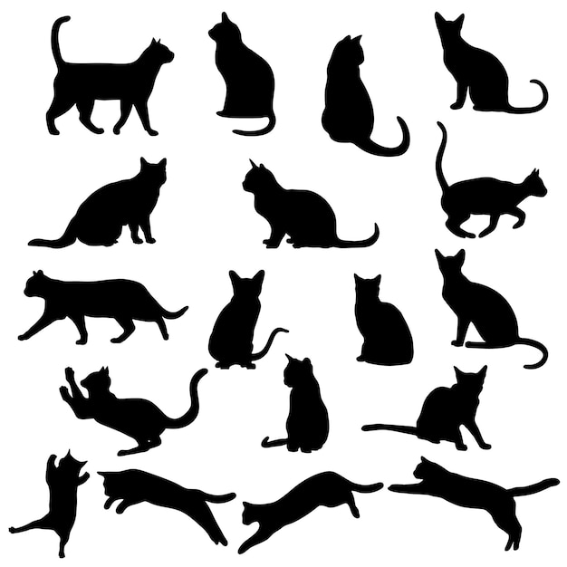 Vector cat isolated on white background cats in different poses