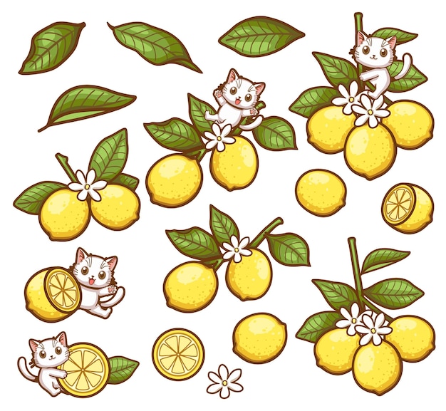 Vector cat and lemon cartoon