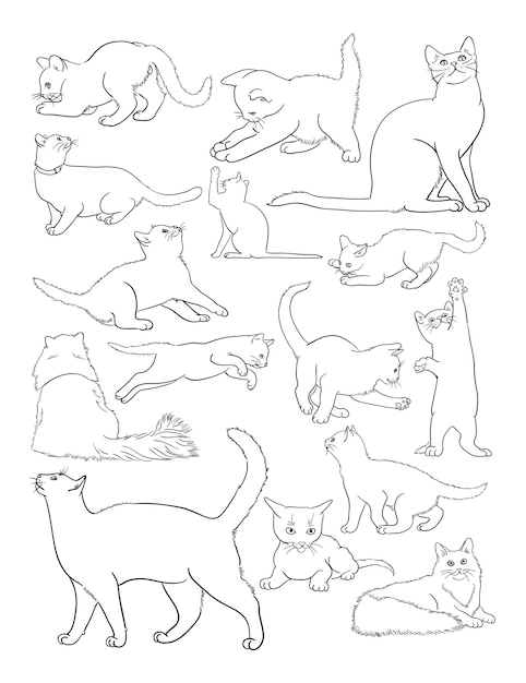 Vector cat line art