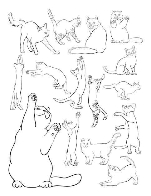 Cat line art