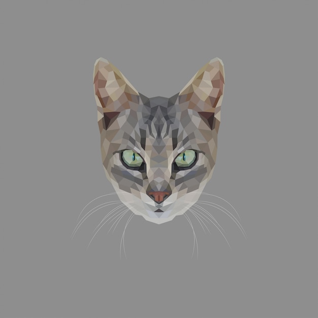 Cat low poly