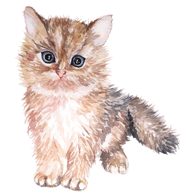 Cat painted in watercolorFluffy kittenHand draw cute funny catAnimal pet watercolor sketch