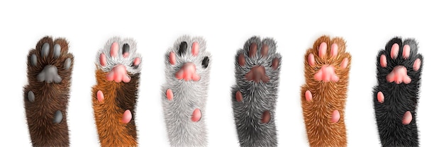 Cat paws of different color set isolated