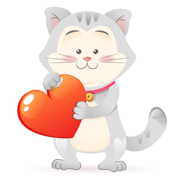 Cat pet isolated holding heart