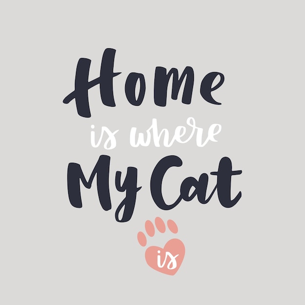 Cat phrase colorful poster Inspirational quotes about cat and domestical pets Hand written phrases for poster cat adoption lettering Adopt a cat