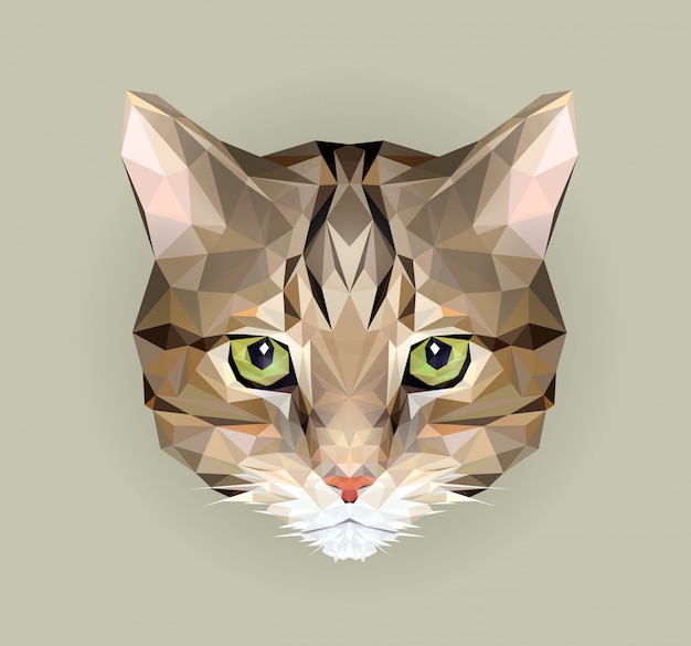 Cat in polygon style. triangle  illustration of animal for use as a print on t-shirt and poster. geometric low poly design illustration. cat icon.