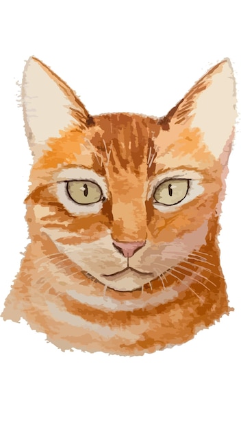 Cat portrait watercolor pet