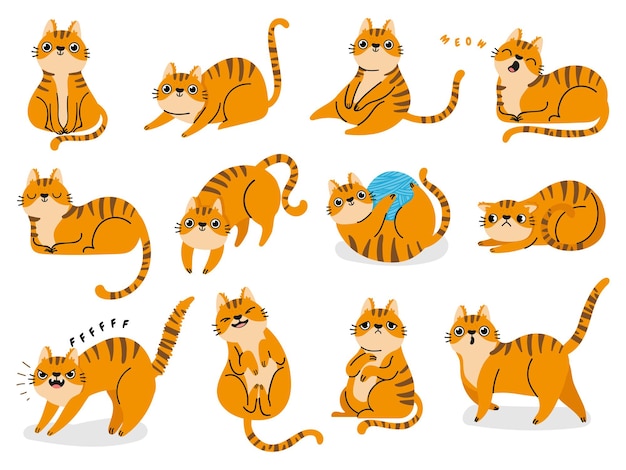 Cat poses. cartoon red fat striped cats emotions and behavior.\
animal pet kitten playful, sleeping and scared. cat body language\
vector set. illustration pet cat, cute striped animal kitten