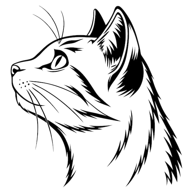 Cat Profile in Black and White