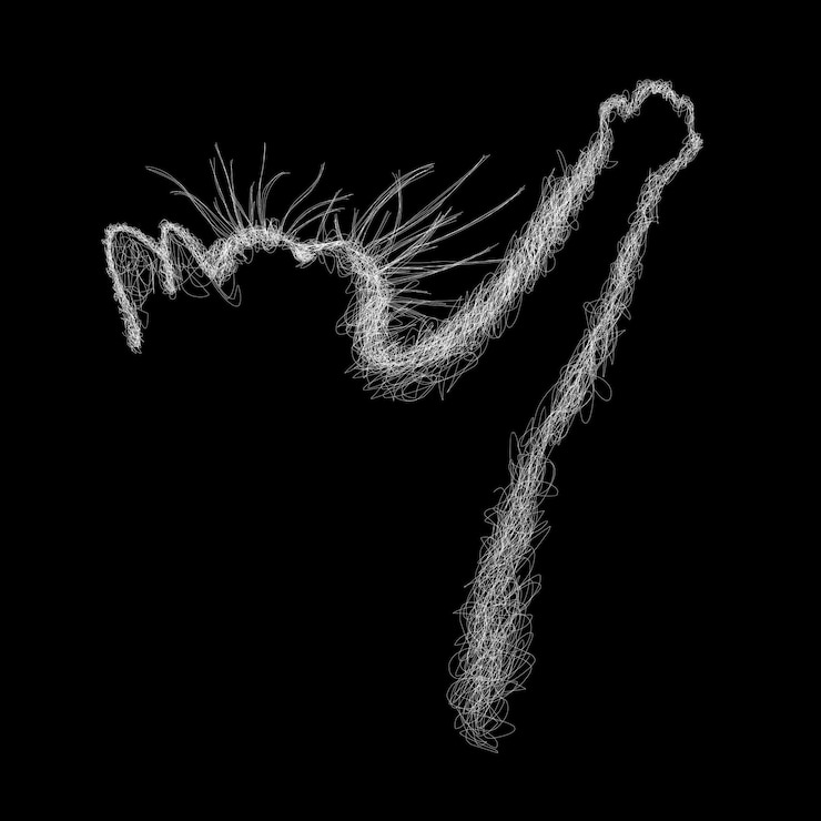 Vector cat scribble art illustration on black background