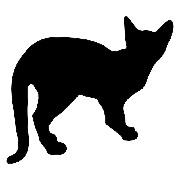 Cat silhouette cat vector cat illustrator on a white background