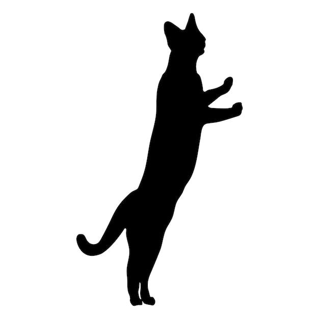 Cat silhouette having fun sitting cat standing cat vector image