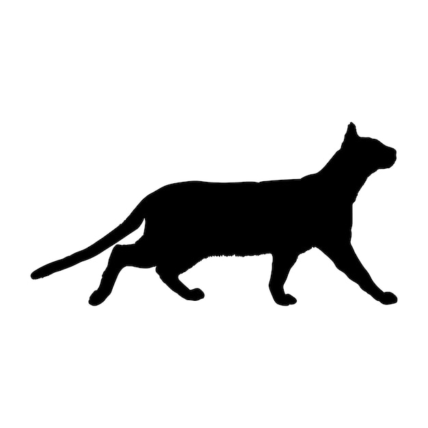 Cat silhouette Tonkinese breeds cat logo monogram vector