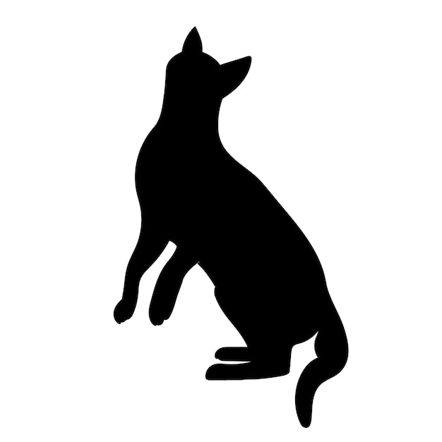 Cat silhouette on white background isolated vector