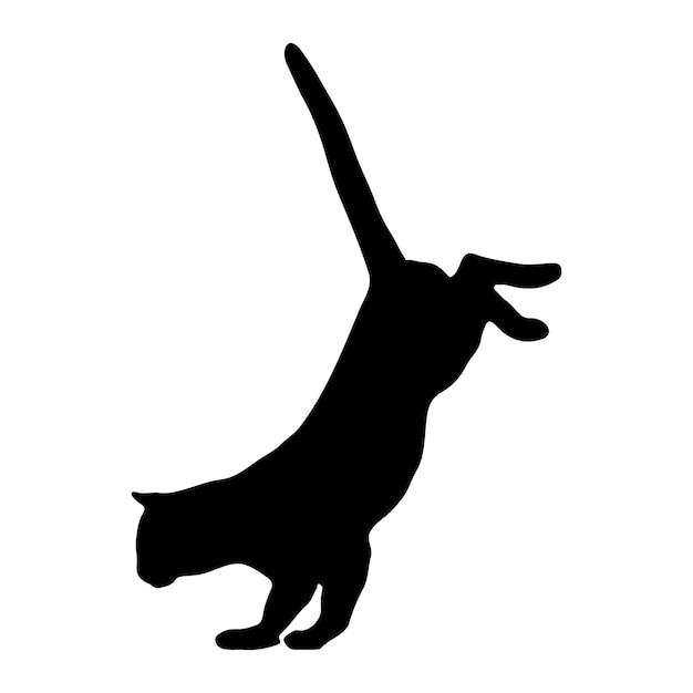 Vector cat silhouette on white background vector