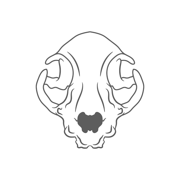 Cat skull drawing