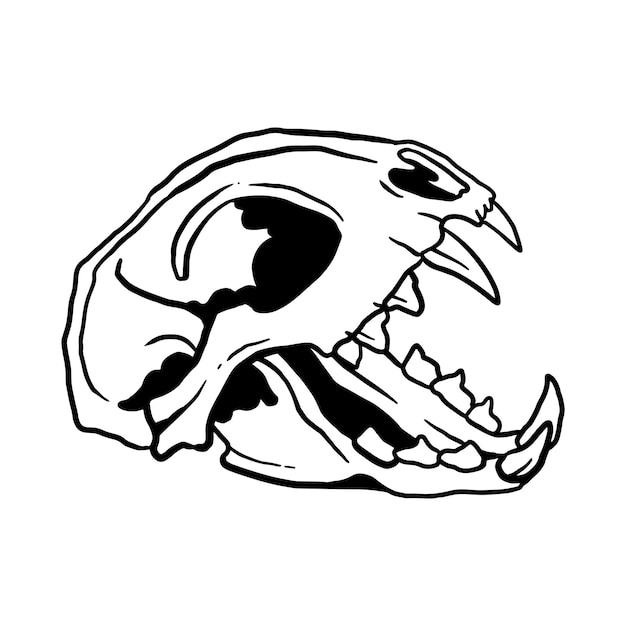 Vector cat skull illustratie kleurplaat