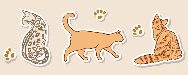 Vector cat stickers cats sticker set fluffy cat striped cat animals doodle ginger cat