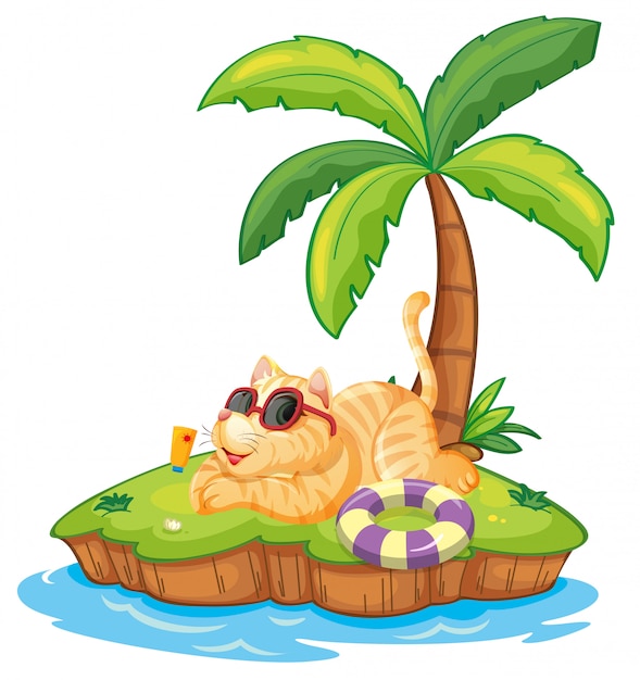 Cat on the summer island