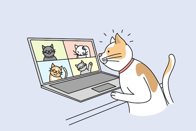 Cat talk on video call with pets