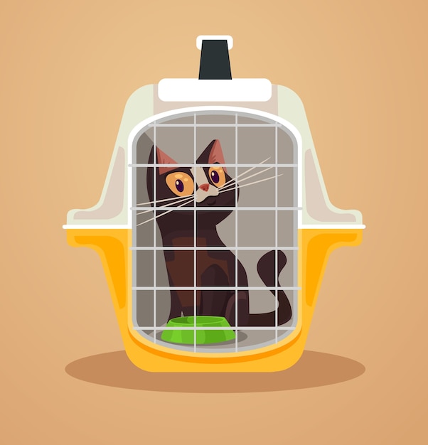 Cat transport box Carrying case illustration