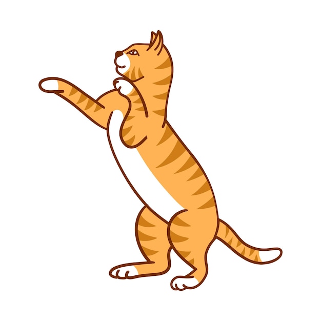 cat vector