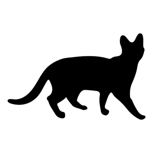 Cat walking silhouette cat vector image