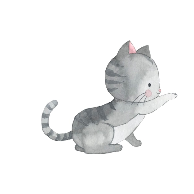 Cat watercolor illustration for kids