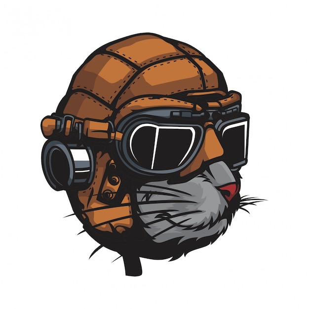 Cat wearing classic leather helmet