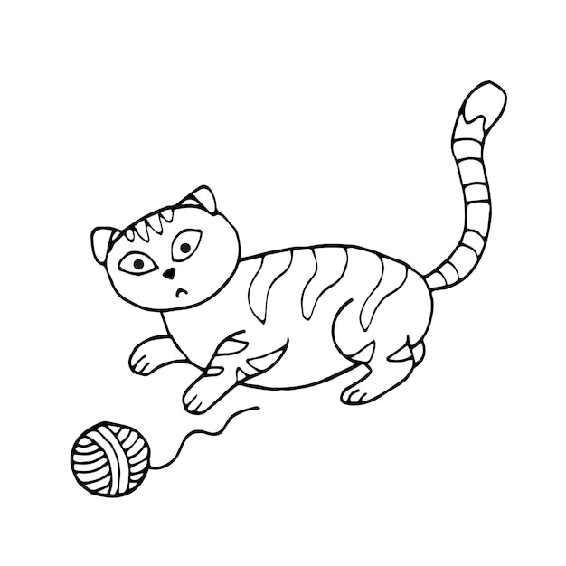 A cat with a ball