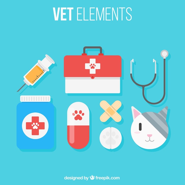 Cat with vet elements