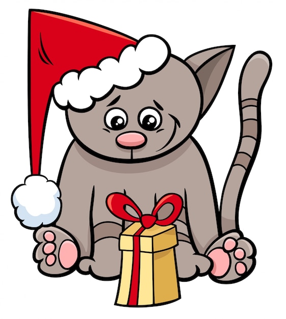 cat with Xmas present cartoon