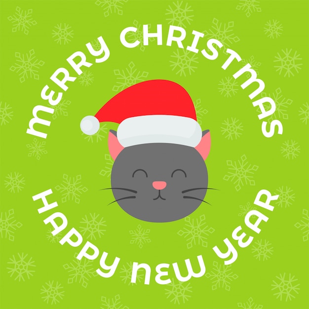 Vector cat xmas and snowflakes background