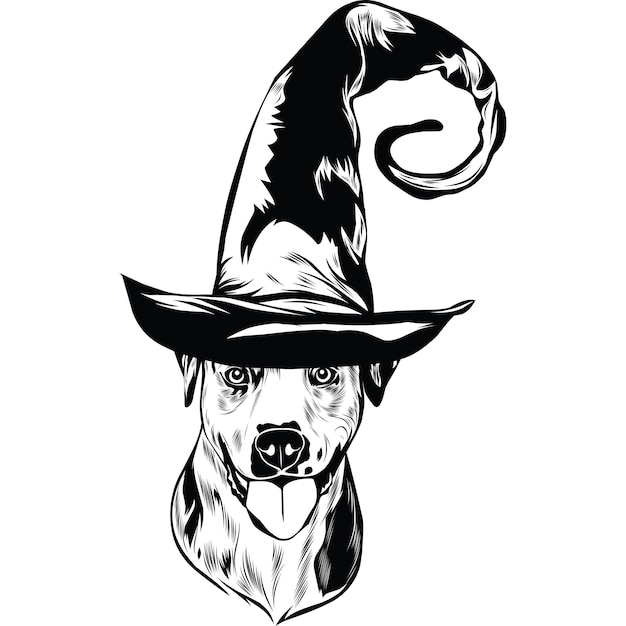 Катахула собака в шляпе ведьмы на хэллоуин