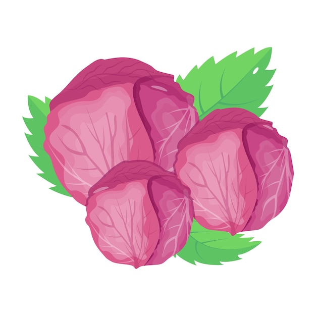 Vector catch a sight of this isometric icon of red cabbage