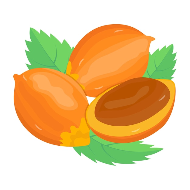 Vector catch a sight of this mouth watering isometric icon of awara fruit