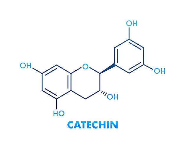 Vettore formula di catechina icona con formula di catechina verde