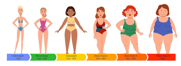 Categories with body mass index Female silhouettes with a thick normal and slender figure