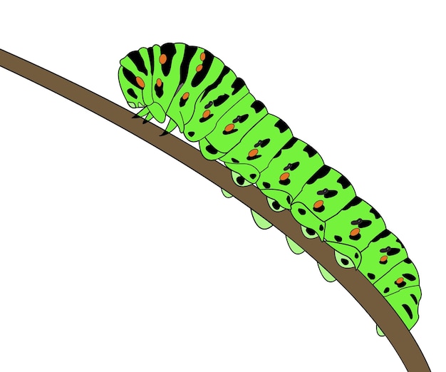 Caterpillar icona vettore segno di bruco su sfondo bianco