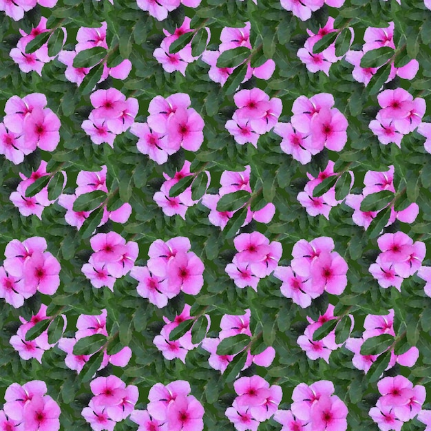 catharanthus flower &amp; branch &amp; leaf seamless pattern design