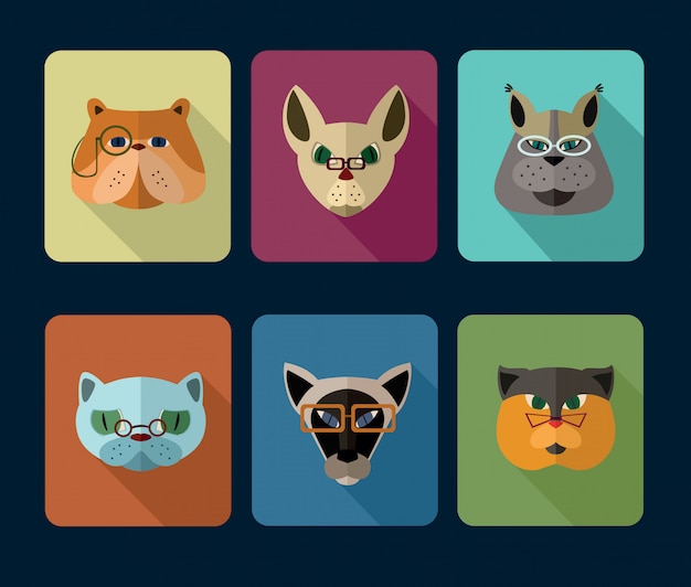 Cats avatar icon set