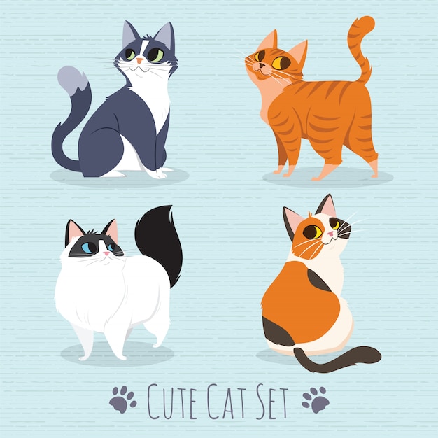 Set di razza di gatti
