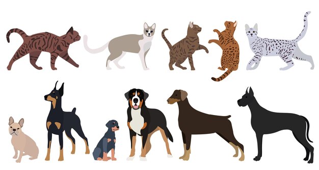 Cats and dog set, flat design on white background, isolated, vector