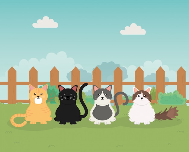 Cats and dog sitting in the park pet care